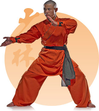 ﻿Wushu Dövüş Sporu